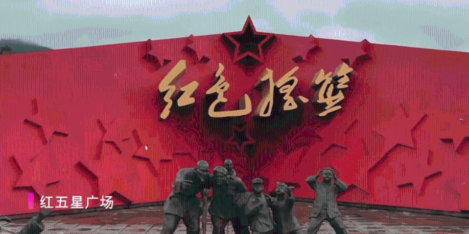 产后脱发严重用什么洗发水?含泪整理的超全防脱秘籍!